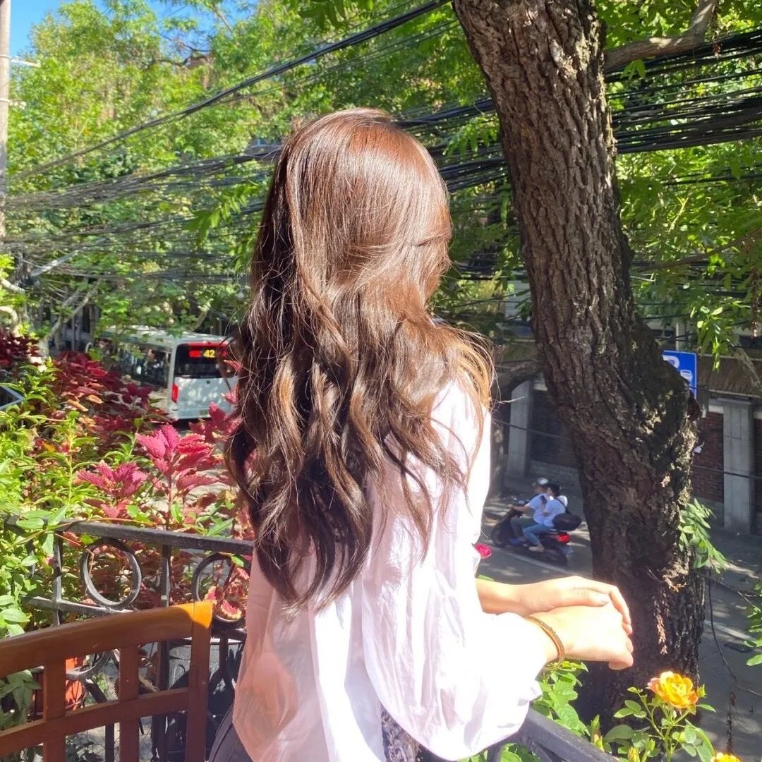 白鹭